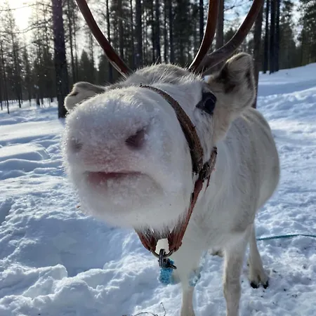 Sky Hovi Apartamento