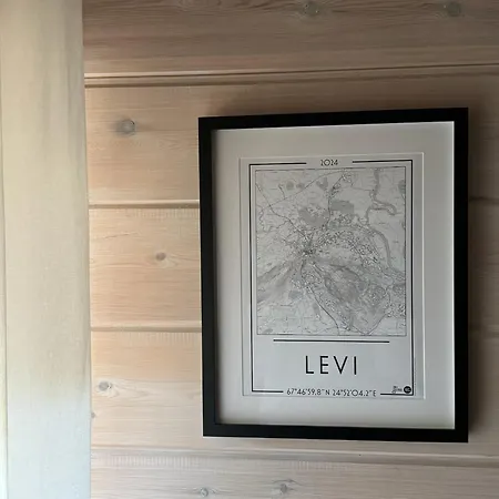 Sky Hovi Levi