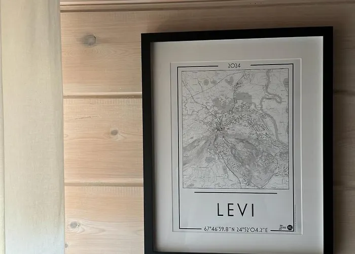 Sky Hovi Levi